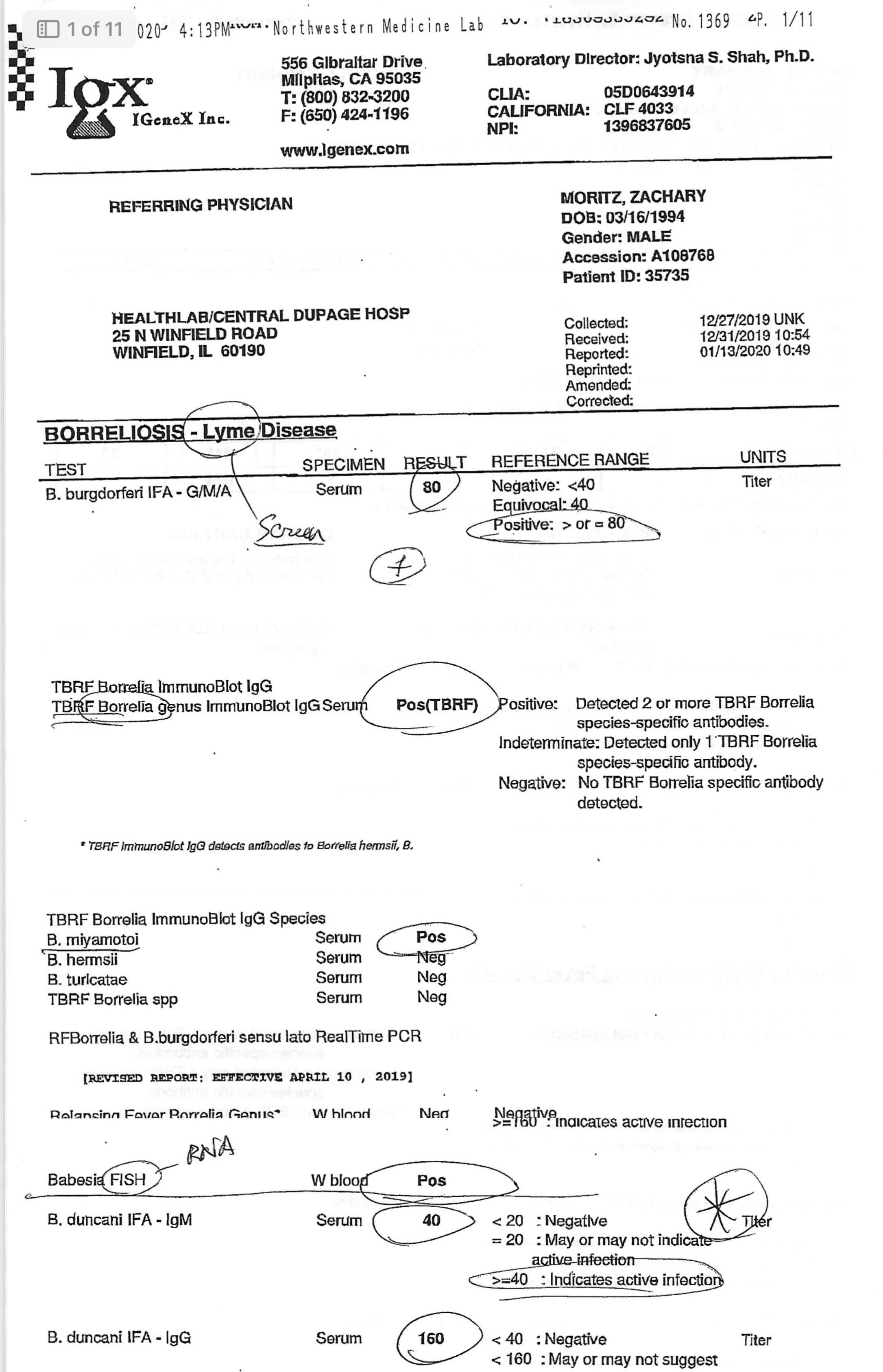 IGeneX lab report